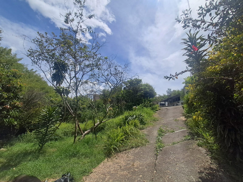 Bild 2 der in Medellín angebotenen Immobilie