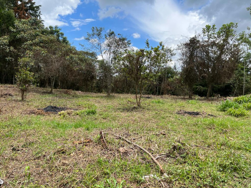 Land in Aeropuerto for Sale - 2