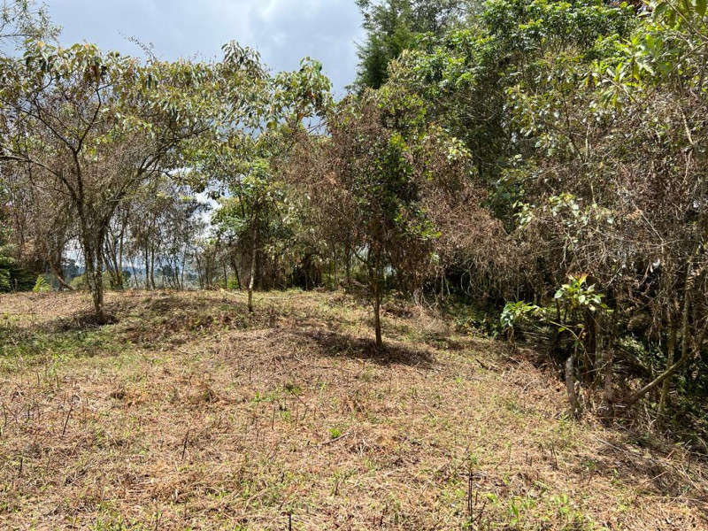 Land in Aeropuerto for Sale - 3