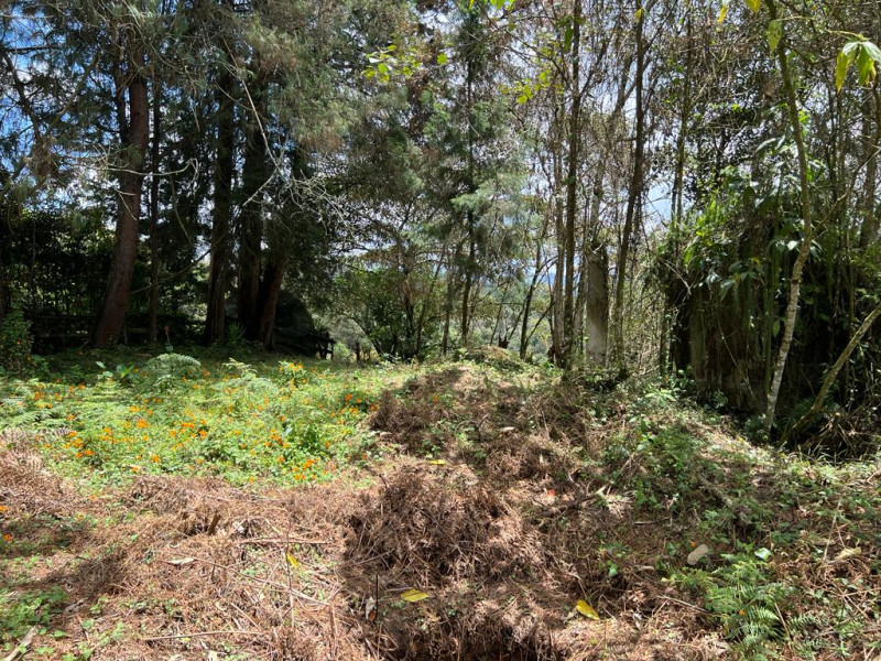 Land in Aeropuerto for Sale - 4