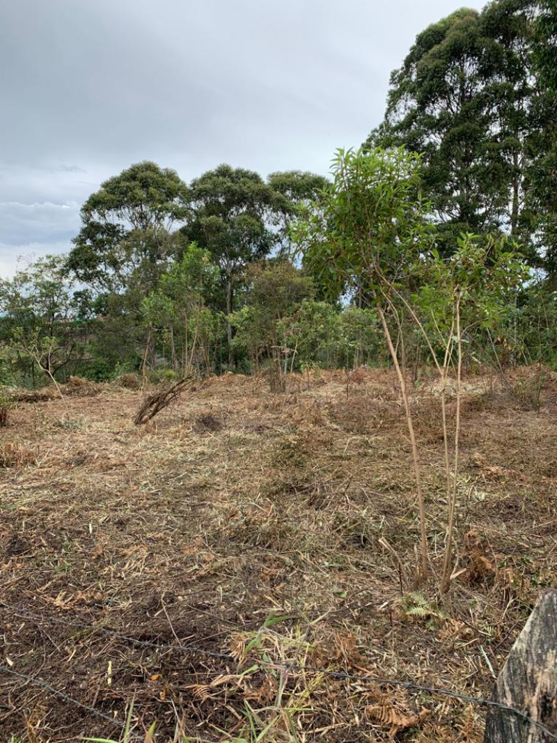 Land in Aeropuerto for Sale - 3