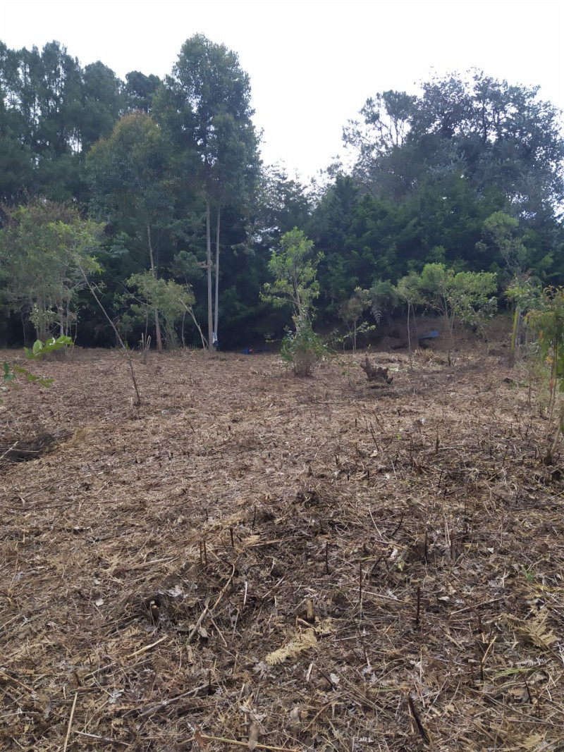 Land in Aeropuerto for Sale - 4