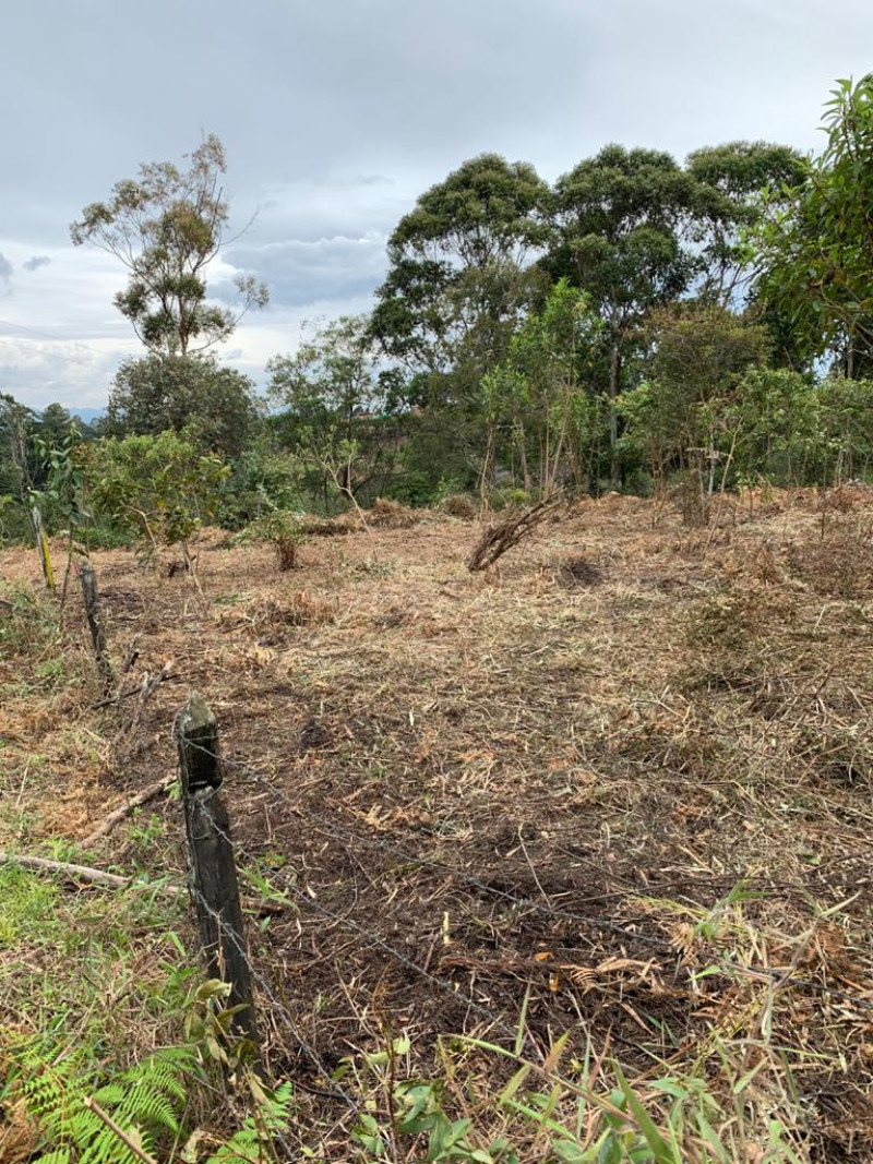 Lote en Venta en Galicia, Rionegro