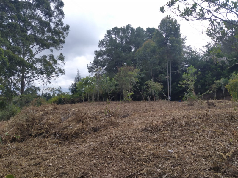 Land in Galicia for Sale - 3