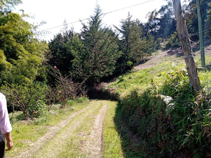 3BR Country House in El rosal for Sale - 3