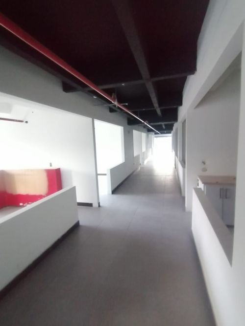 Local en arriendo en Las Casitas, Envigado, 515 m² · foto 5 de 24