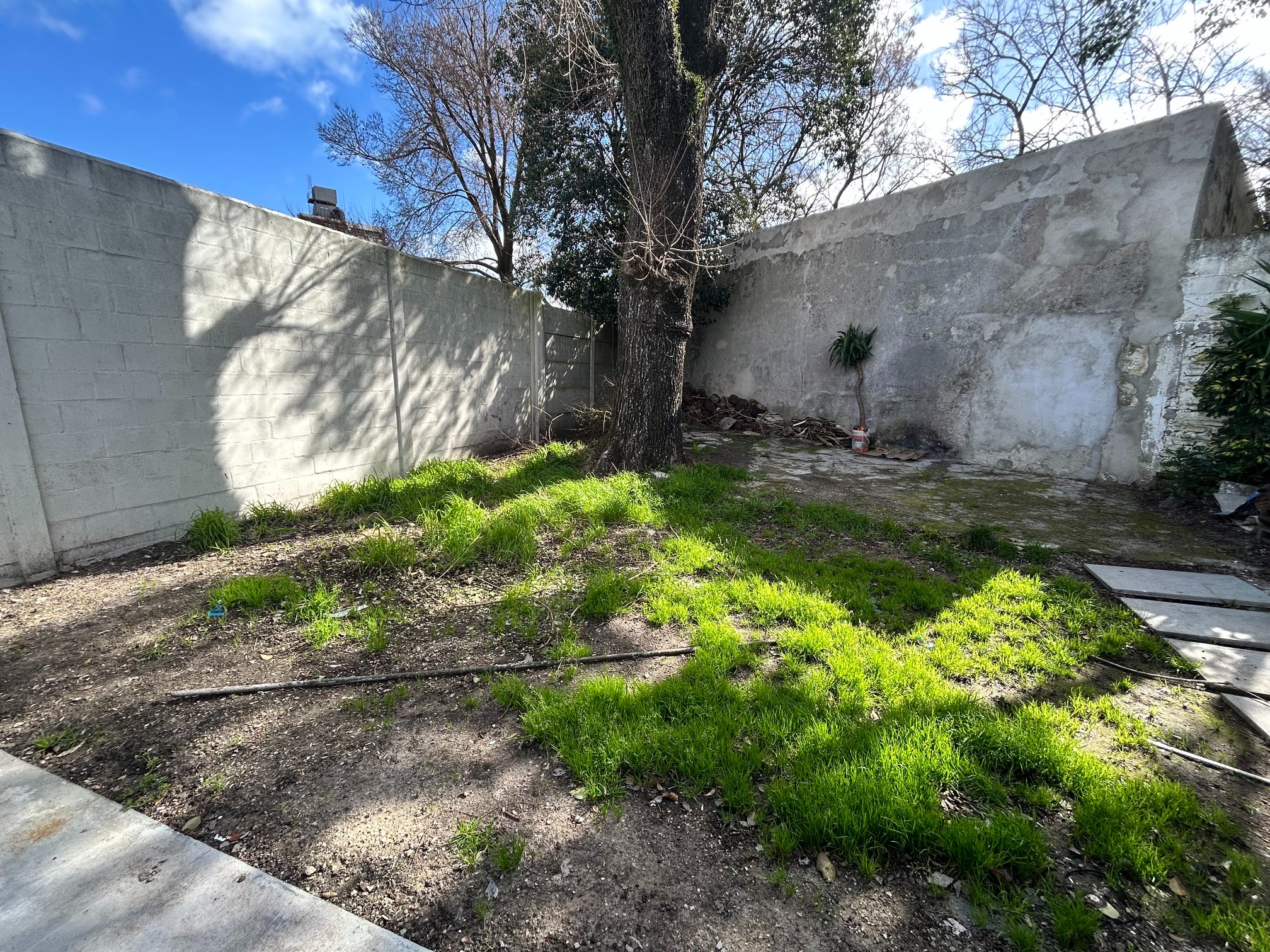 Mateo Vidal Próx Abreu, Ph Totalmete Independiente En Planta Baja, A Estrenar, Fondo Verde De 80 M2!!!!!