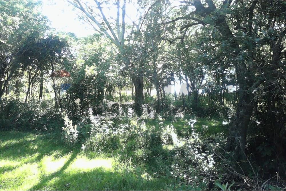 ¡Terreno Ideal en Valenzuela! — foto 3