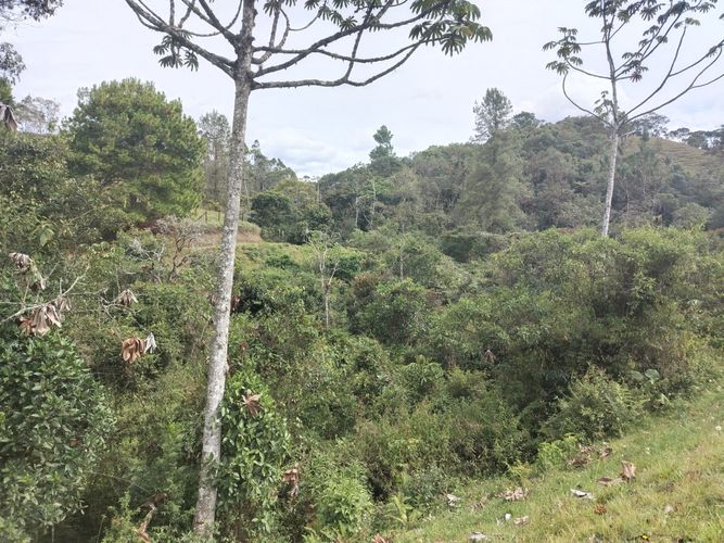 Lote en venta en Pantanillo, El Retiro, 21176 m² · foto 10 de 12