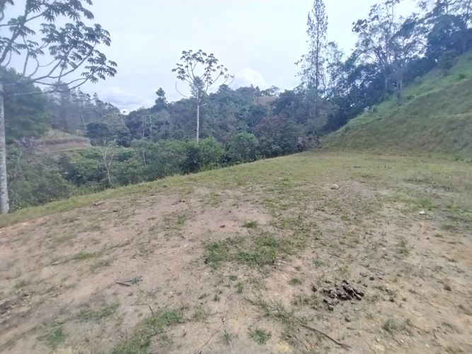 Lote en venta en Pantanillo, El Retiro, 21176 m² · foto 11 de 12
