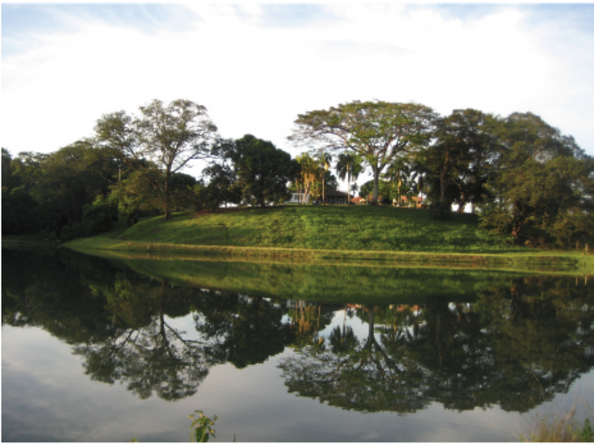 Finca en venta en Alto De Pompeya, Villavicencio, 500 m² · foto 6 de 17