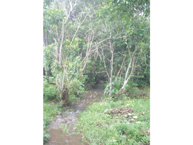 Finca en venta en Alto De Pompeya, Villavicencio, 500 m² · foto 9 de 17