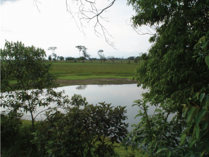 Finca en venta en Alto De Pompeya, Villavicencio, 500 m² · foto 11 de 17