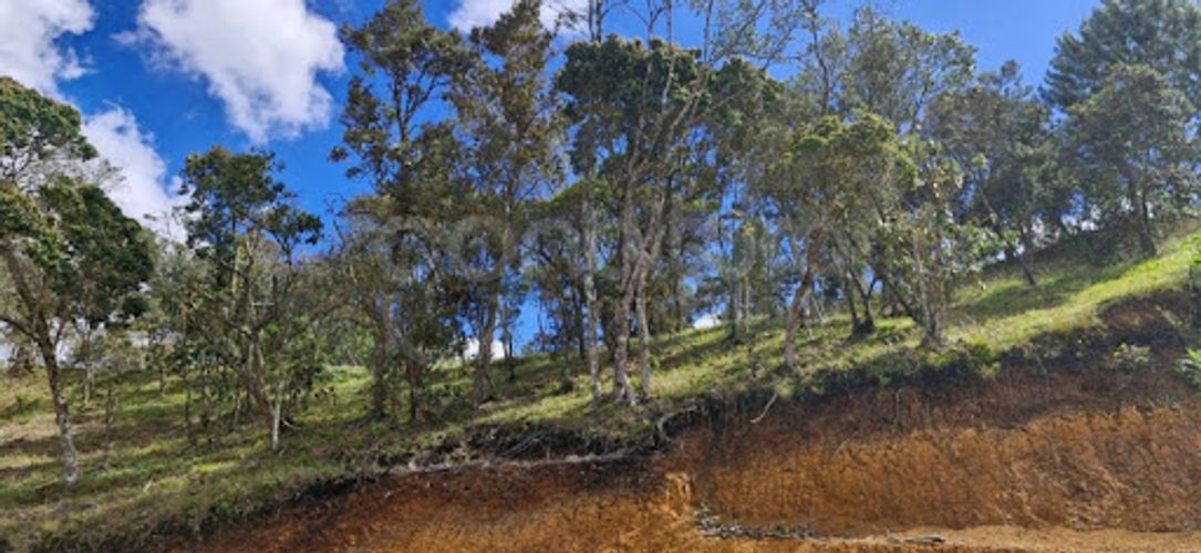 Lote en venta en Guarne, 2300 m² · foto 8 de 8