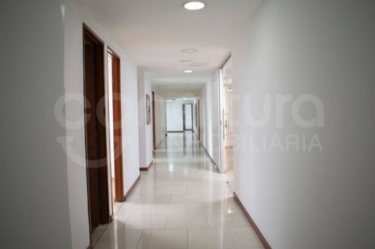 Oficina en arriendo en Los Balsos, Medellín, 336 m² · foto 9 de 13
