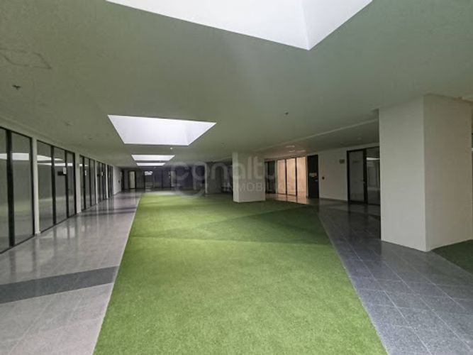 Oficina en arriendo en Los Colores, Medellín, 25 m² · foto 3 de 6