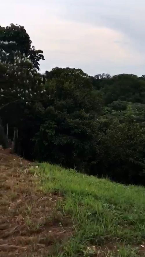 Lote en venta en Porerito, Jamundí, 1500 m² · foto 2 de 2