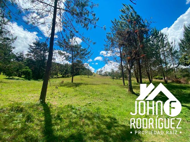 Lote en venta en Pantanillo, El Retiro, 7600 m² · foto 9 de 11