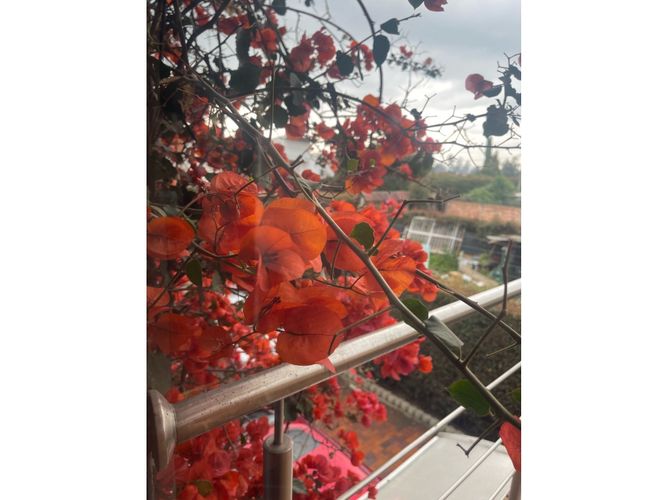 Casa de 5 alcobas en venta en Vereda La Balsa, Chía, 284 m² · foto 21 de 24