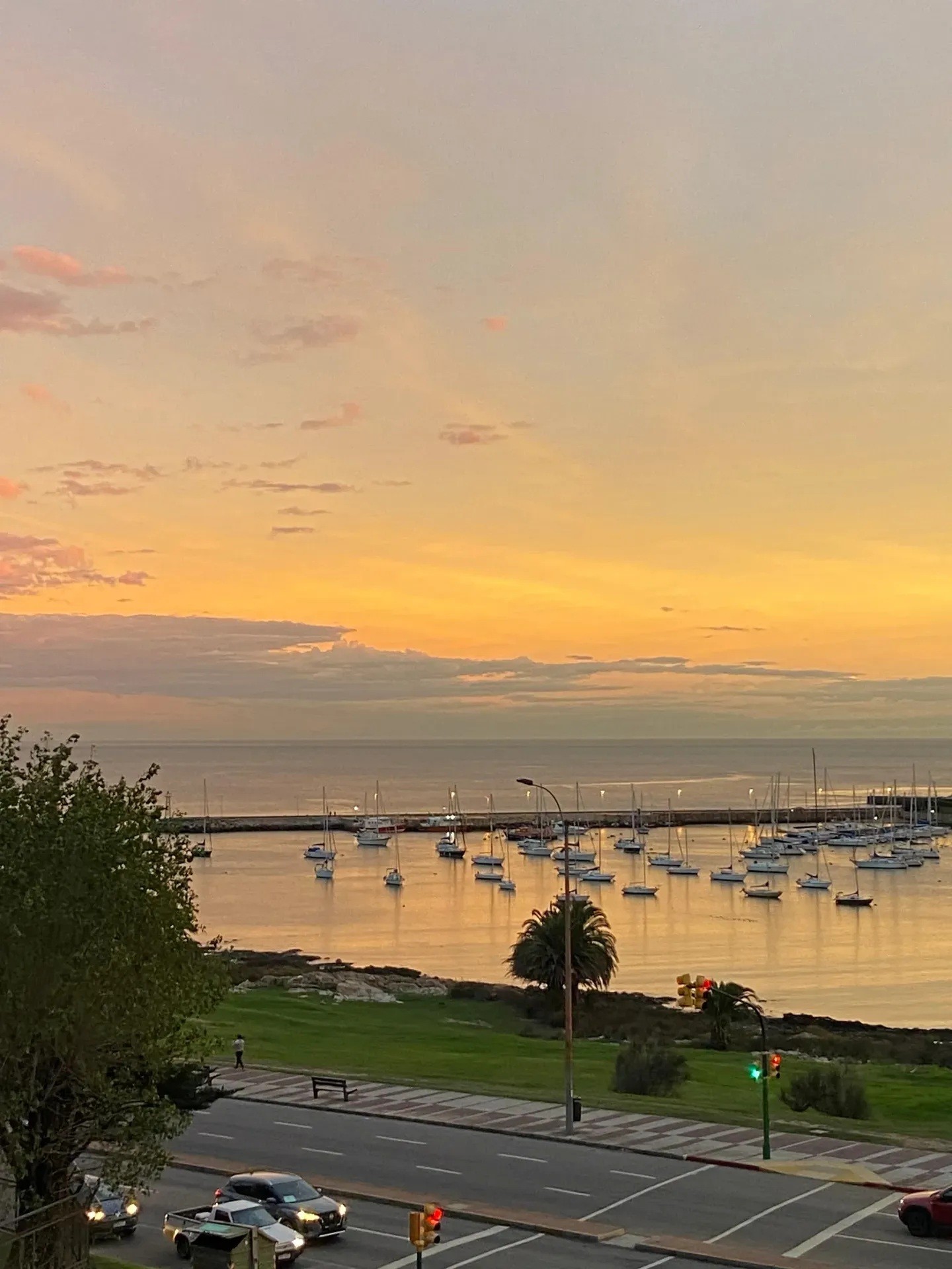 ALQUILER EN PUERTO DE BUCEO DE 1 DORMITORIO MODERNO CON HERMOSA VISTA, BALCON AL FRENTE · Foto 7