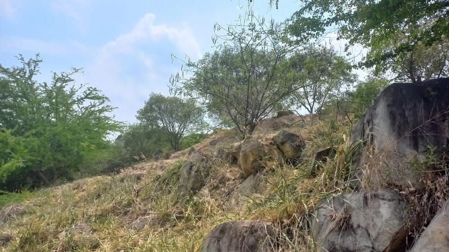 Lote en venta en Cencar- Yumbo, Yumbo, 5034 m² · foto 6 de 23