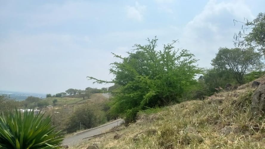 Lote en venta en Cencar- Yumbo, Yumbo, 5034 m² · foto 7 de 23