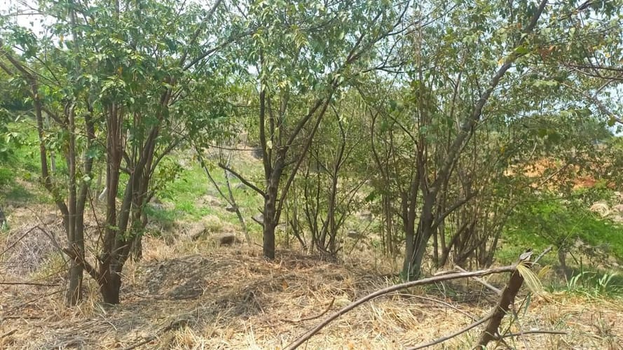 Lote en venta en Cencar- Yumbo, Yumbo, 5034 m² · foto 11 de 23