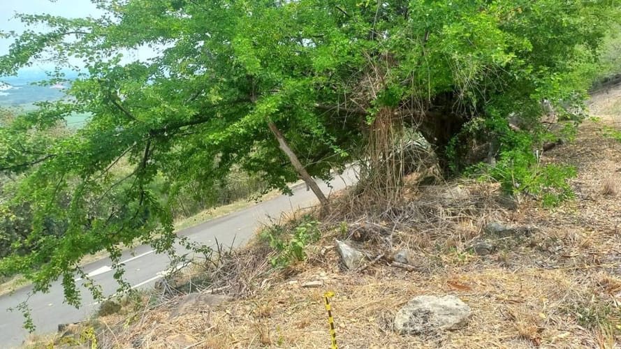 Lote en venta en Cencar- Yumbo, Yumbo, 5034 m² · foto 22 de 23