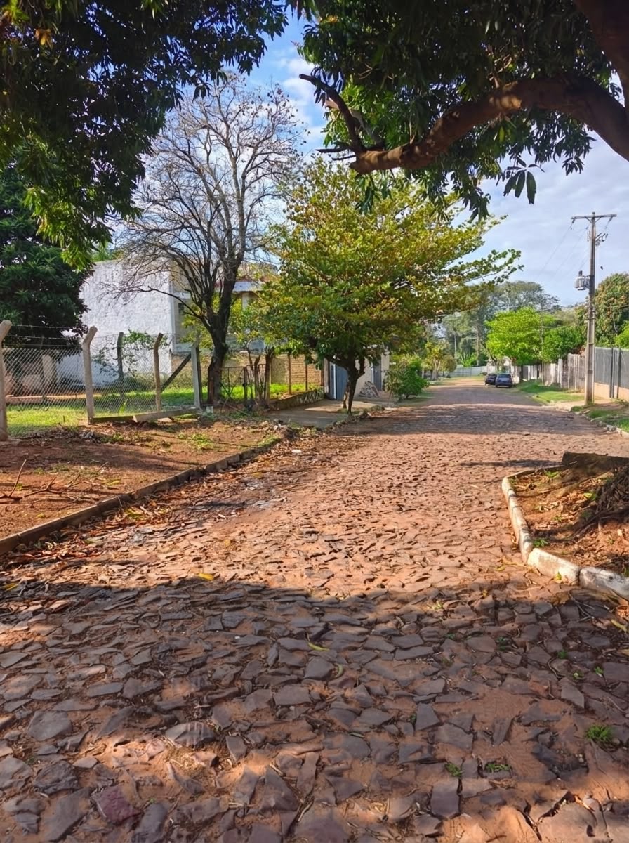 VENTA! TERRENO EN VILLA ELISA -BARRIO PICADA 360 M2 - foto 1