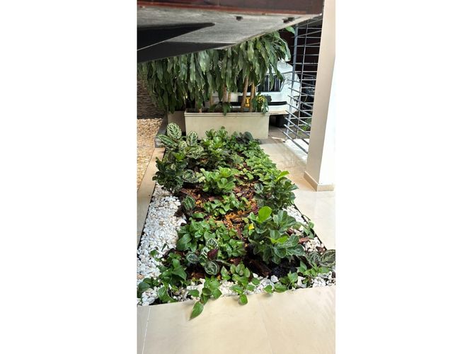 Casa de 4 alcobas en venta en Tejares Cristales, Cali, 820 m² · foto 10 de 24
