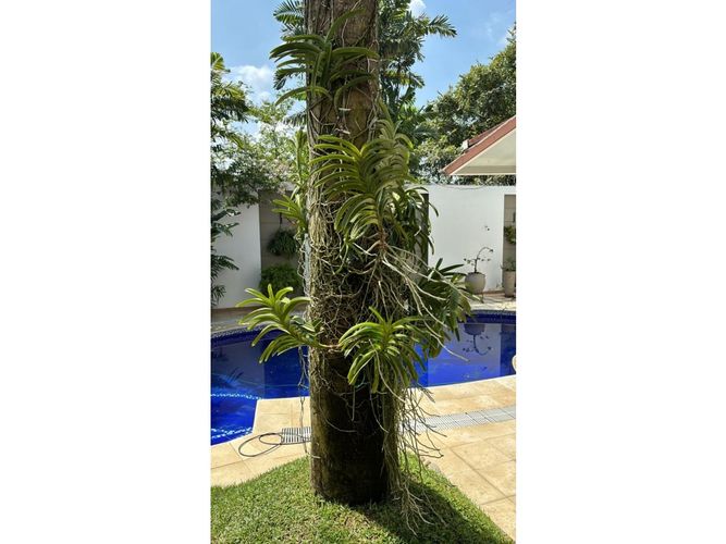 Casa de 4 alcobas en venta en Tejares Cristales, Cali, 820 m² · foto 20 de 24