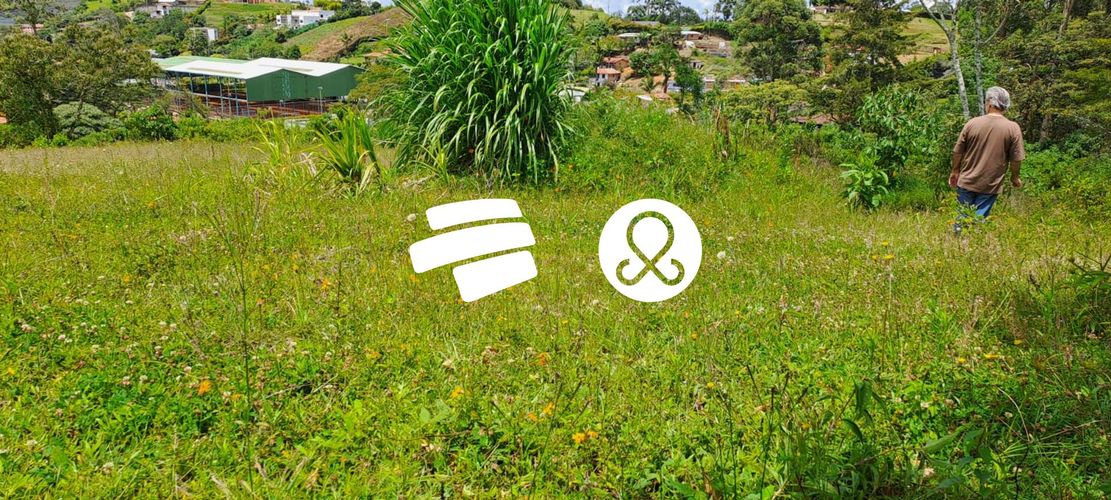 Lote en venta en La Sonadora, El Carmen de Viboral, 20720 m² · foto 2 de 4