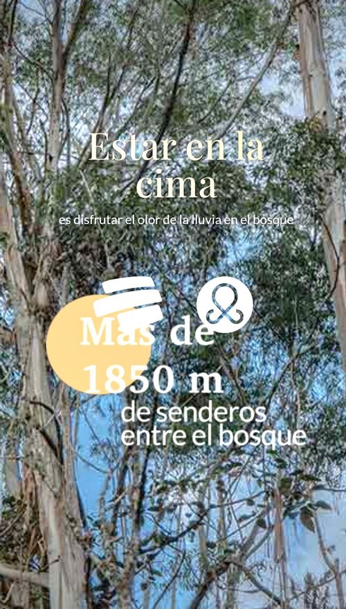 Lote en venta en Pantanillo, El Retiro, 3880 m² · foto 4 de 21