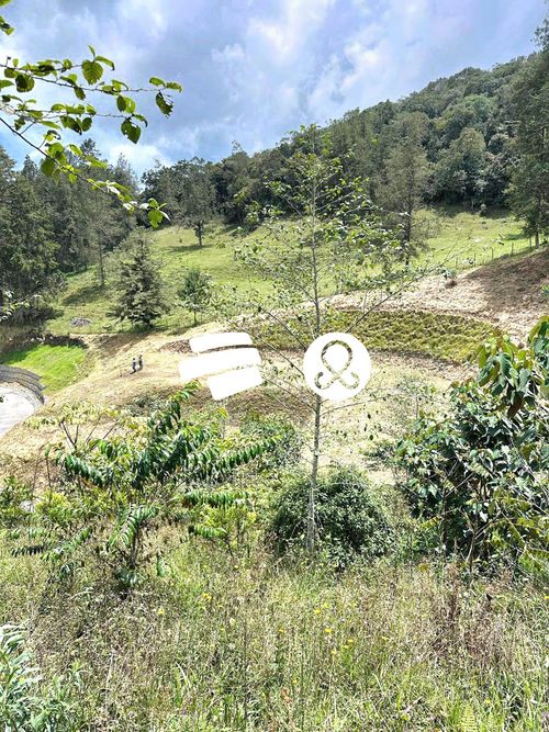 Lote en venta en Pantanillo, El Retiro, 3880 m² · foto 10 de 21
