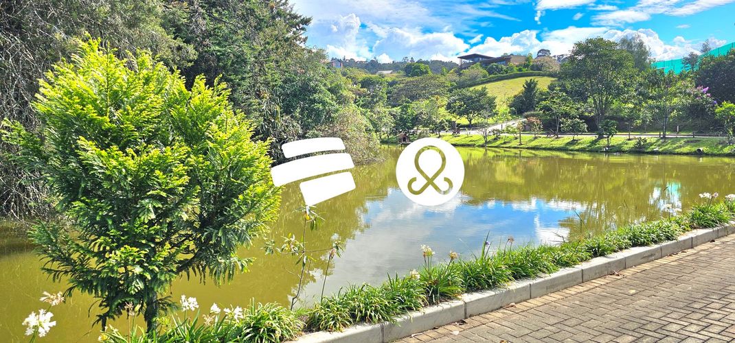 Lote en venta en Llano Grande, Rionegro, 3024 m² · foto 7 de 20