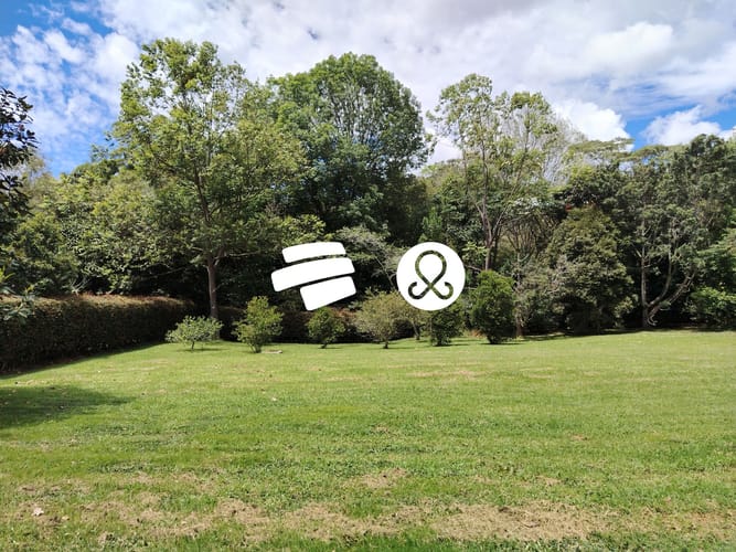 Lote en venta en Guamito, La Ceja, 2925 m² · foto 6 de 13