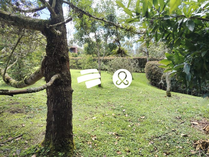 Lote en venta en Guamito, La Ceja, 2925 m² · foto 8 de 13
