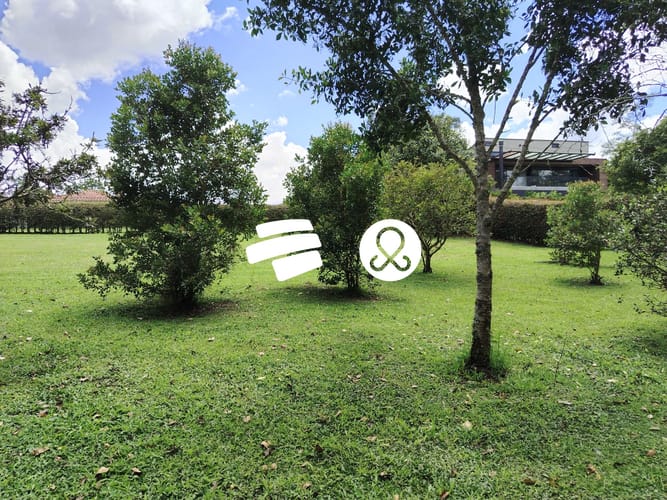 Lote en venta en Guamito, La Ceja, 2925 m² · foto 9 de 13