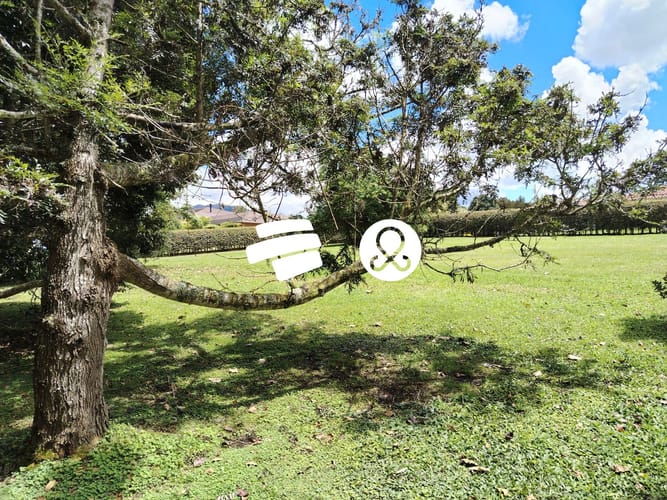 Lote en venta en Guamito, La Ceja, 2925 m² · foto 11 de 13