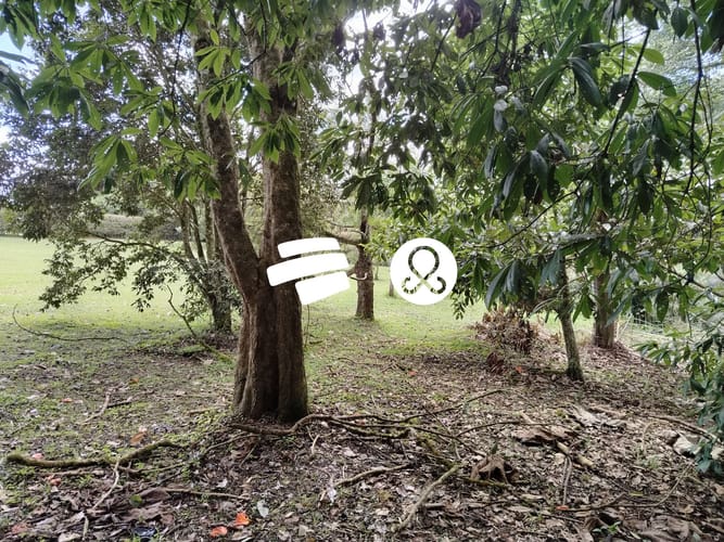 Lote en venta en Guamito, La Ceja, 2925 m² · foto 13 de 13