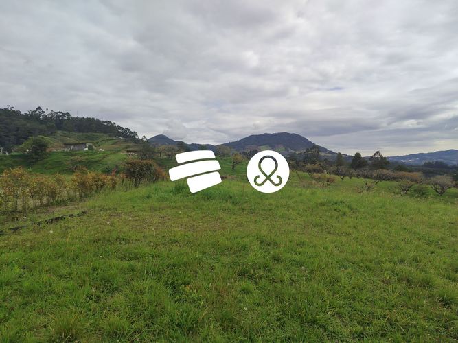 Lote en venta en Guamito, La Ceja · foto 6 de 12