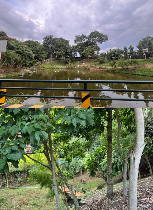 Casa de 4 alcobas en venta en La Loma, Piedecuesta, 340 m² · foto 19 de 20