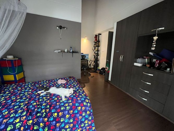 Casa de 4 alcobas en venta en La Españolita, Piedecuesta, 550 m² · foto 11 de 20