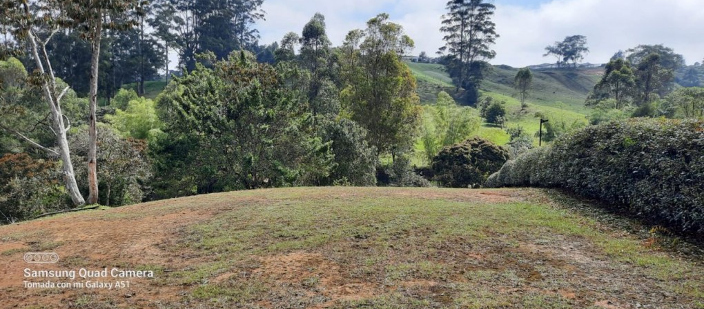 Land in El capiro (3368 m²) for Sale - 2