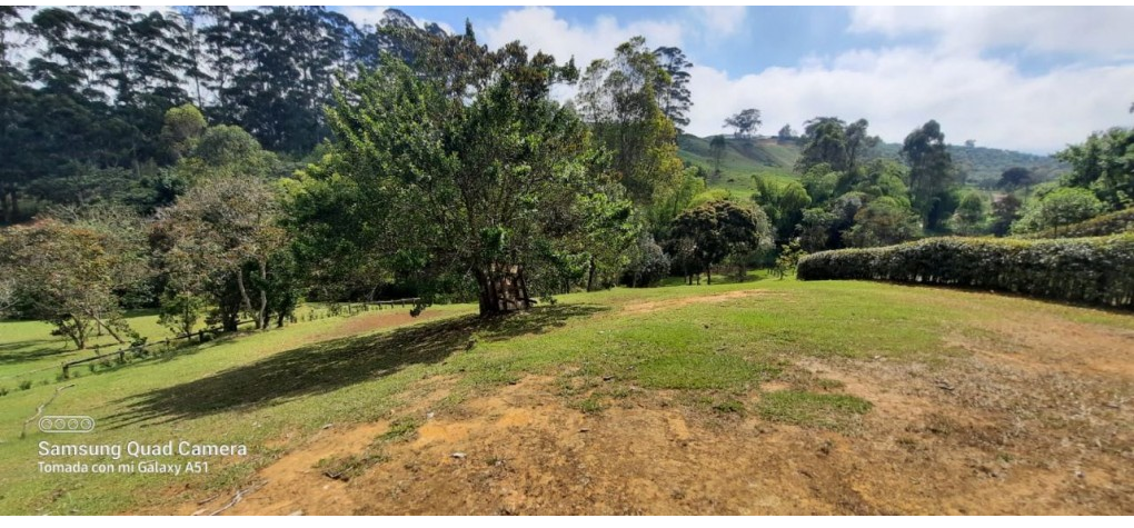 Land in El capiro (3368 m²) for Sale - 3