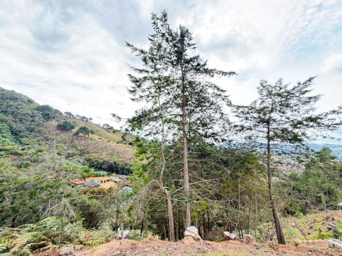 Lote en venta en El Tambo, La Ceja · foto 2 de 16