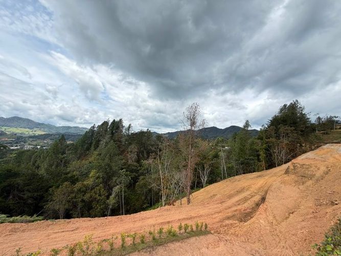 Lote en venta en El Tambo, La Ceja · foto 8 de 16