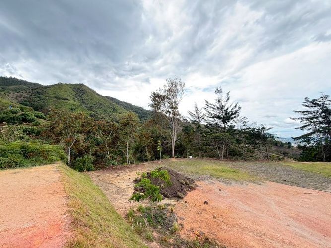 Lote en venta en El Tambo, La Ceja · foto 9 de 16