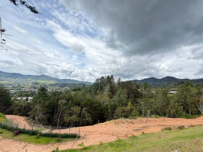 Lote en venta en El Tambo, La Ceja · foto 12 de 16
