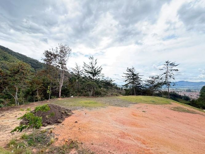 Lote en venta en El Tambo, La Ceja · foto 15 de 16